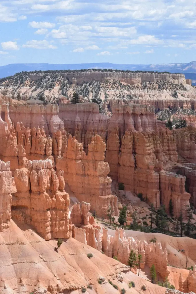 Bryce Canyon National Park hoodoos in warm light