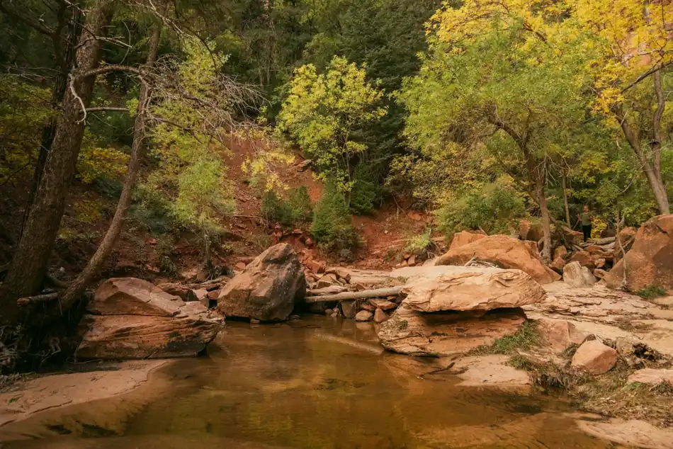 Zion National Park in fall with autumn colour along the Virgin River