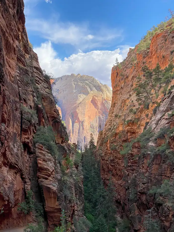 Zion canyon river and cliffs in Utah